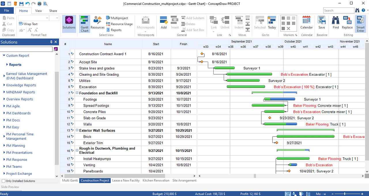 Benutzerdefinierter Projektstatusbericht der Windows-Version von ConceptDraw PROJECT 12