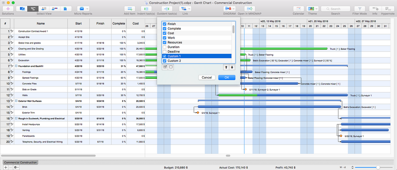 Adding Custom Fields to a Project Schedule in ConceptDraw PROJECT 9