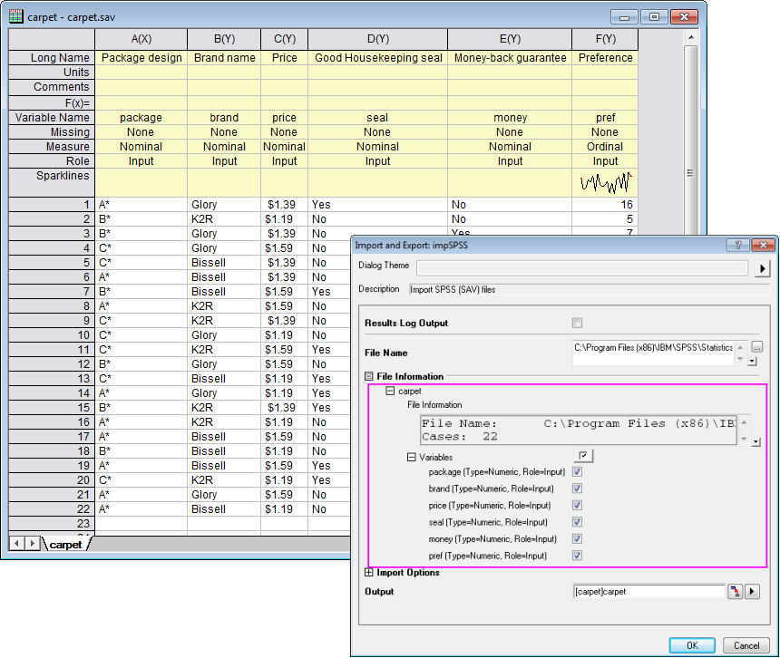 Import SPSS File