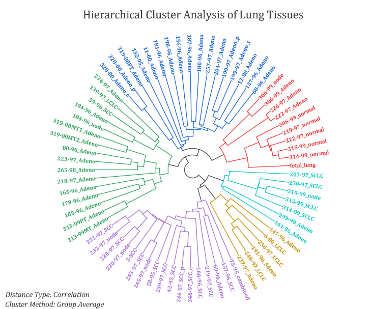 OriginPro and Origin 2020: Circular Dendrogram from Hierarchical Cluster Analysis of lung tissues.