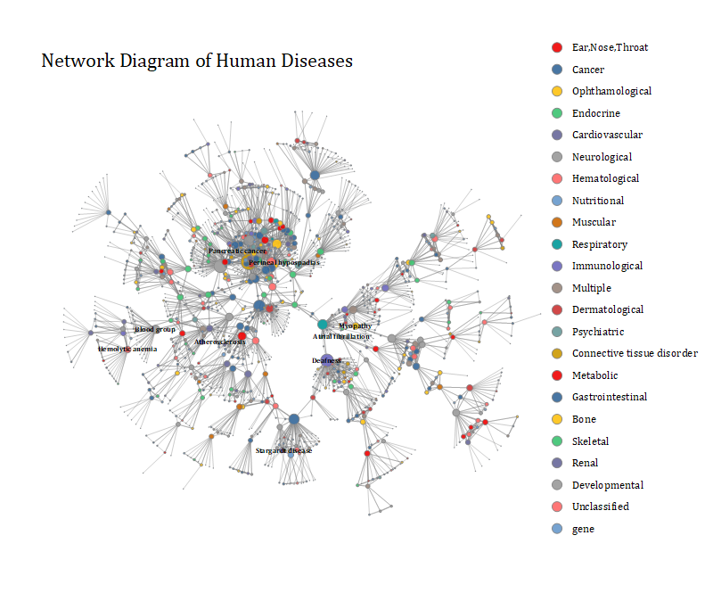 OriginPro 2021b: Netzwerkdiagramm der menschlichen Krankheiten