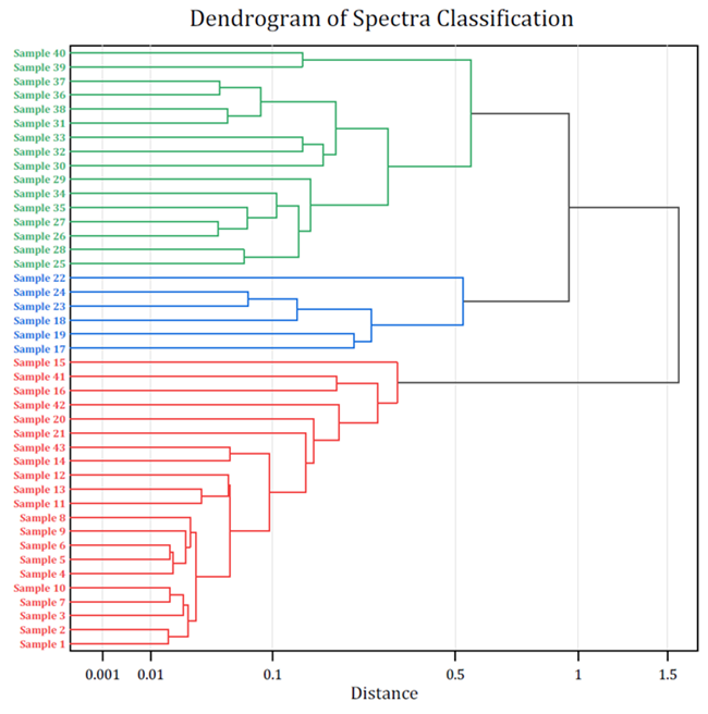 Dendrogramm der Spektrumsklassifikation aus der hierarchischen Clusteranalyse der Spektren