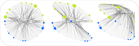 Erstellen von neuen grafischen Darstellungen der Interaktionsnetzwerke von Genen