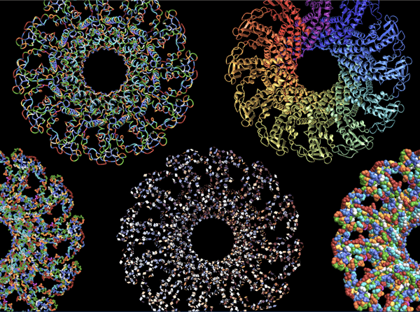 Wolfram-U-Kurs: Protein Visualization in Wolfram Language