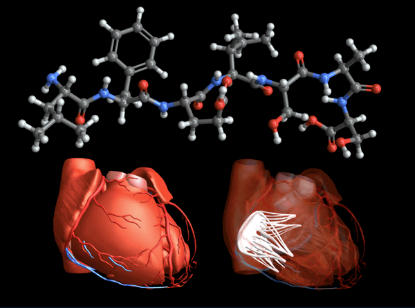 Wolfram-U-Kurs: Wolfram Language for Life Science & Medicine